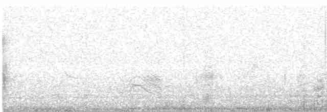 Uzun Kuyruklu Sığırcık - ML475548881