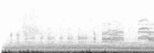 Common Tern - ML475572611