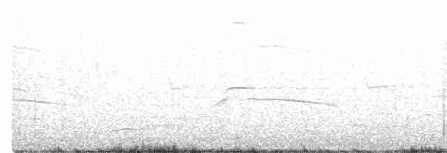 Gaviota de Tasmania - ML475602201