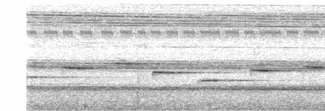 Bülbül Sesli Çıtkuşu - ML475657231