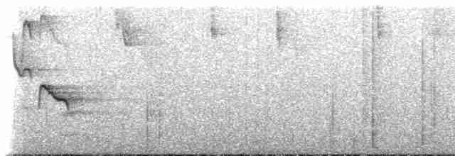 Светлоглазый дрозд - ML475663961