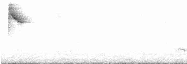 White-browed Warbler - ML475695241