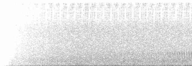 Eurasian Nightjar - ML475700241