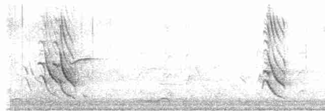 メガネコウライウグイス（flaviventris グループ） - ML475704611