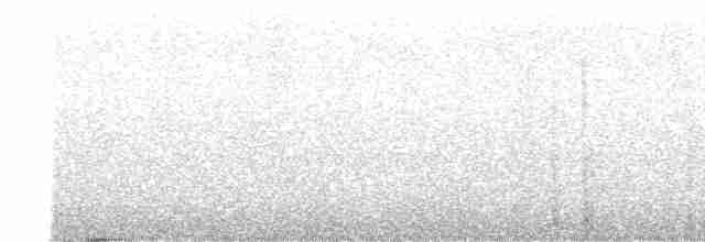 Gray-breasted Wood-Wren - ML475706531