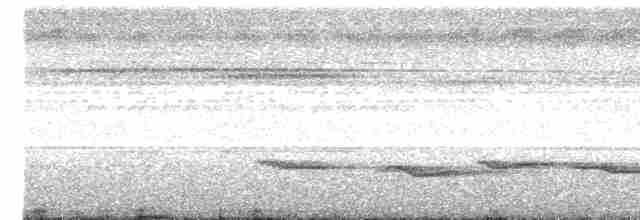 Gray-headed Babbler - ML475708281