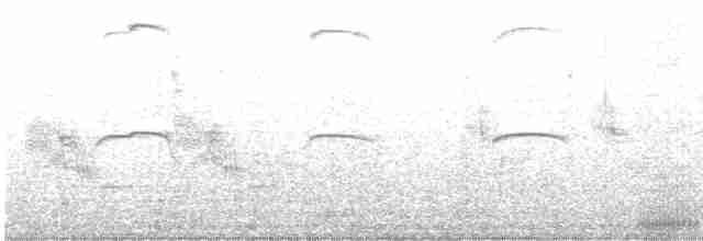 Kırlangıç Kuyruklu Martı - ML475718031