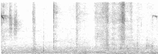 Kızıl Alınlı Uzunkuyruk (bonvaloti/obscuratus) - ML475734471