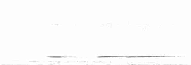 Undulated Tinamou - ML475736071