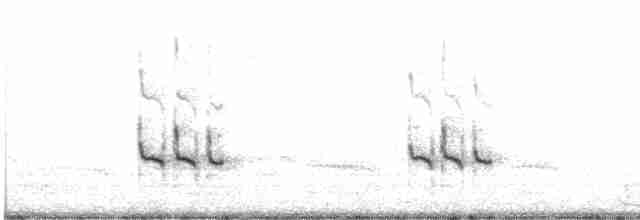 Короткоклювый бекасовидный веретенник - ML475746211