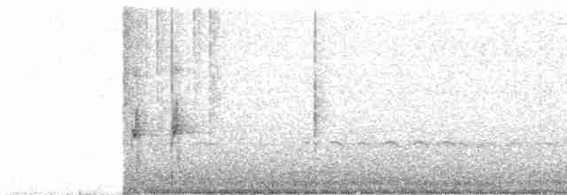Тиранчик-довгохвіст білогорлий - ML475803971