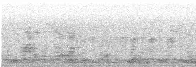 אנפית בקר מערבית - ML475814781