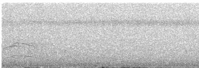 Белокрылый бекард - ML475817611