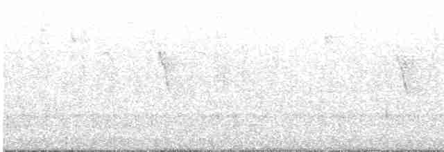 Каштановый скрытохвост - ML475822031