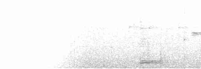 Rostbrust-Ameisendrossel - ML475822241