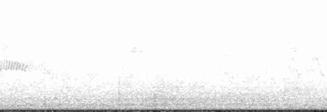 Дятел-смоктун сосновий - ML47583