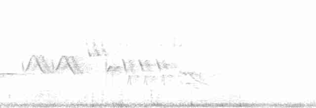 Kiefernsaftlecker - ML47585