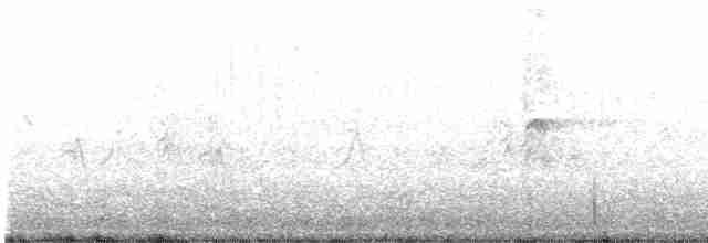 strakapoud americký [skupina harrisi] - ML475876331