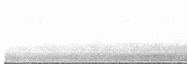 Dark-eyed Junco (White-winged) - ML475901581