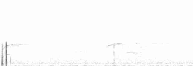 Çizgili Büyük Tiran - ML475907001