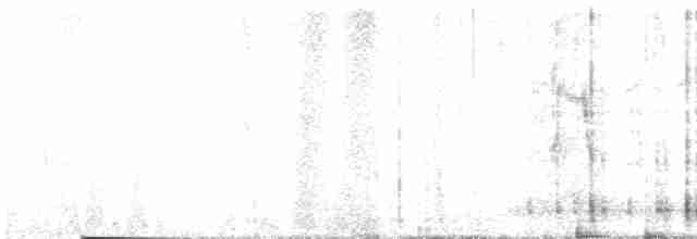 Lavandera Cetrina - ML475938261