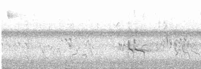 Короткоклювый бекасовидный веретенник - ML475952751