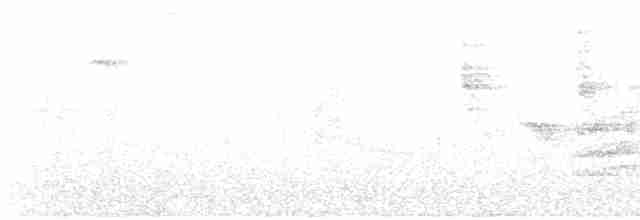 Мурашниця білочерева - ML475977821