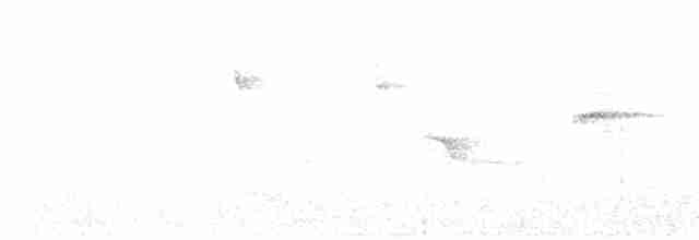 Langschwanz-Ameisenfänger - ML475977891