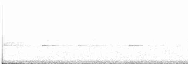 Kara Göğüslü Kamçıkuşu - ML475983821