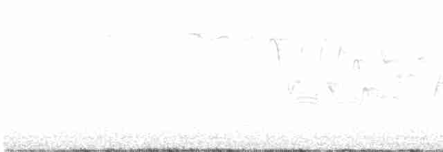 Canada Warbler - ML476038991