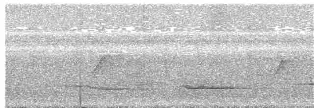 White-necked Thrush - ML47607131