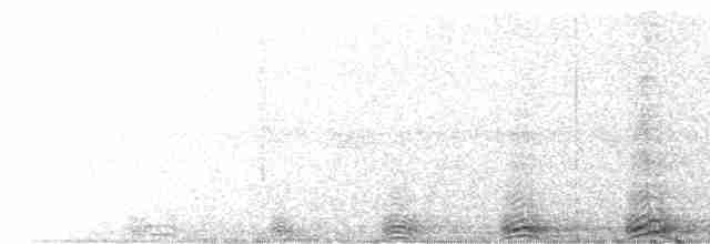 Сова неоарктична - ML476120671