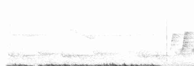 Azure-crested Flycatcher - ML476124281