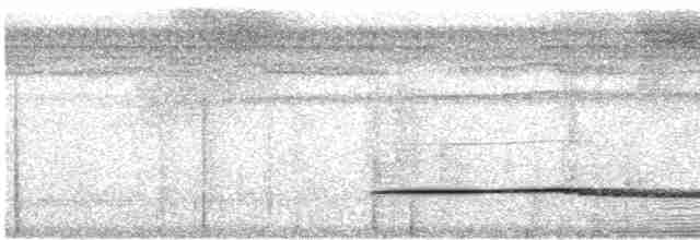 Little Tinamou - ML476181681