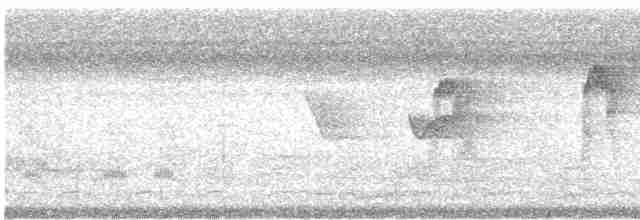 Пестрокрылый мухоед (flavotectus) - ML476181721