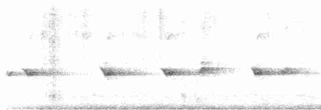 hvitstrupehonningeter - ML476184461