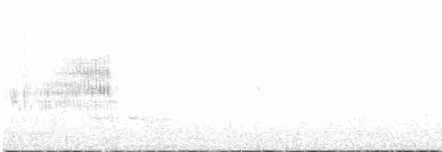 Boz Karınlı Kırlangıç - ML476187181