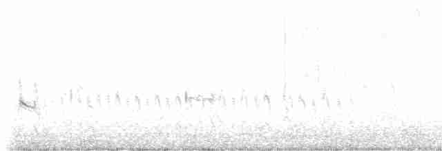 ארנריה אדמונית - ML476188481