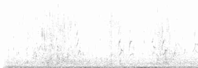 Bécasseau sanderling - ML476188491