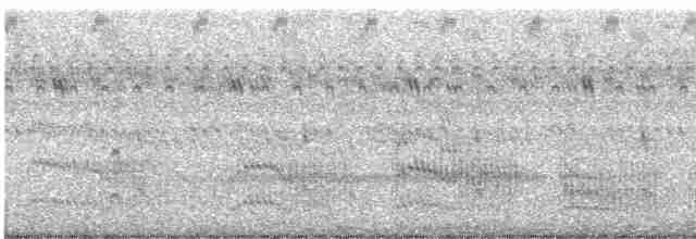 Common Tern - ML476221871