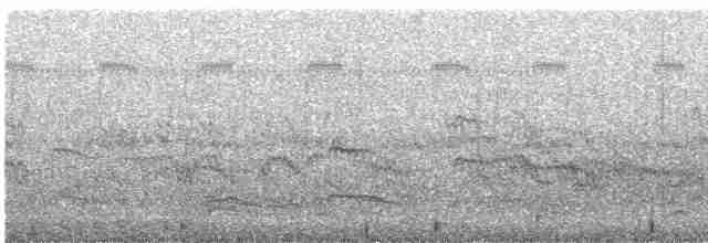 Common Tern - ML476255661