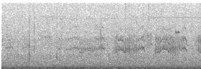 Common Tern - ML476262201