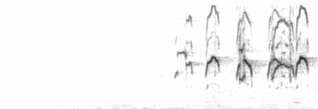 rorýs bělokrký - ML47631151
