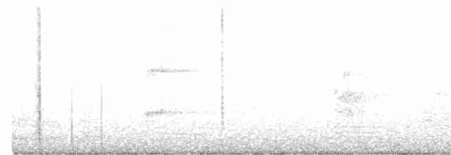 Голуб-бронзовокрил чубатий - ML476354741