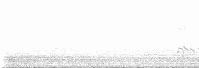 Короткоклювый бекасовидный веретенник - ML476446191