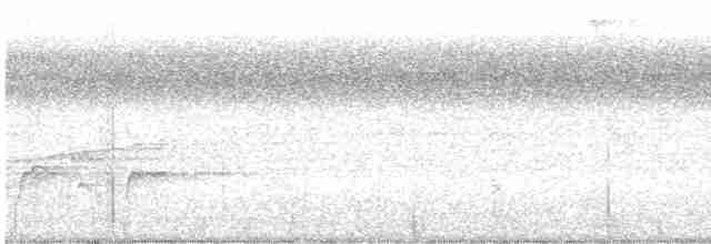 Каролинский крапивник - ML476624361