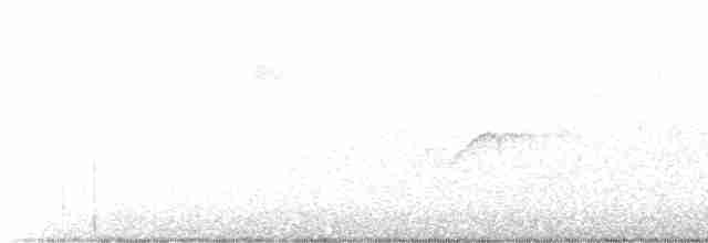 Sarı Karınlı Boreal Sinekkapan - ML476656311