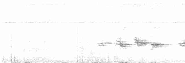 Золотокіс рувензорський (підвид archeri) - ML476687781