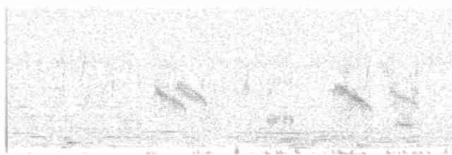 Weißbart-Seeschwalbe - ML476713471