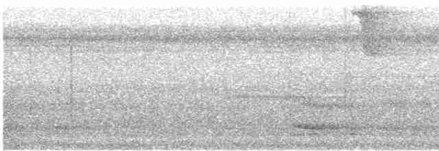 Tüpfelkronen-Ameisenvogel - ML476733521